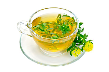 Image showing Herbal tea with flowers Rhodiola rosea in a glass cup