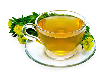 Image showing Herbal tea with a bouquet of Rhodiola rosea