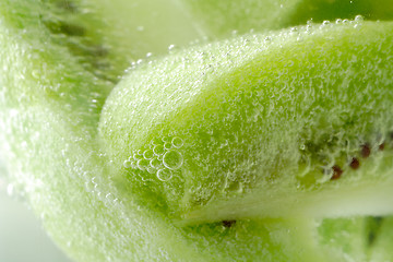 Image showing piece of kiwi fruit with bubbles