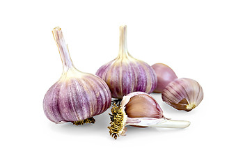 Image showing Garlic whole and cloves