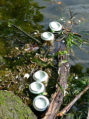 Image showing Cans In Water