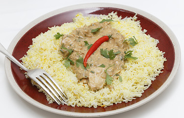 Image showing Chicken pasanda on saffron rice side view