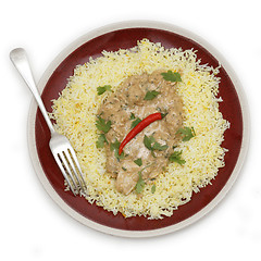 Image showing Chicken pasanda curry from above