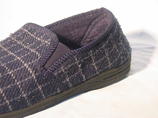 Image showing A Slipper