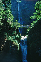 Image showing Multnomah Falls