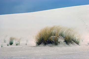 Image showing White Sands