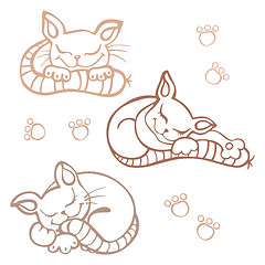 Image showing Sleeping cats.