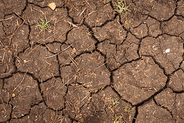 Image showing Closeup of dry soil texture