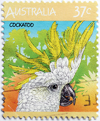 Image showing Cockatoo Stamp