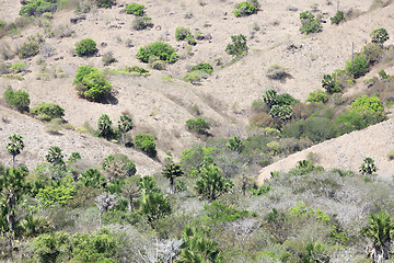 Image showing Komodo Island