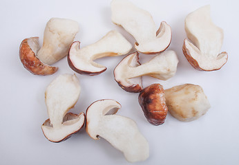 Image showing Porcini Mushroom