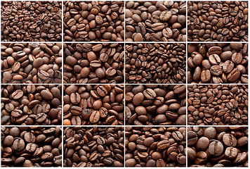 Image showing Coffee beans