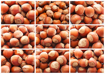 Image showing Hazelnuts or filbert nuts