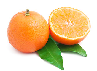 Image showing Tangerines