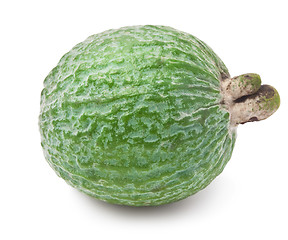 Image showing Feijoa fruit