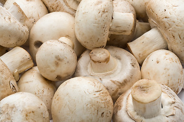 Image showing Champignon mushrooms