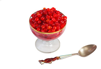 Image showing Viburnum berries in syrup on a white background.