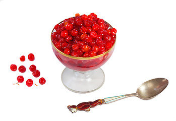 Image showing Viburnum berries in syrup on a white background.