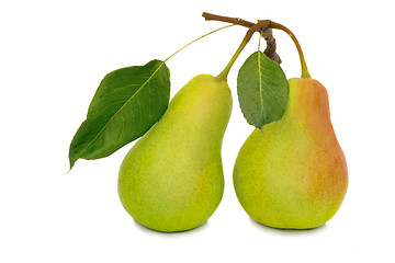 Image showing Two large pears on a white background