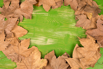 Image showing Dry autumn leaves