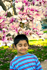 Image showing Enjoying the spring