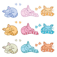 Image showing Sleeping cats.