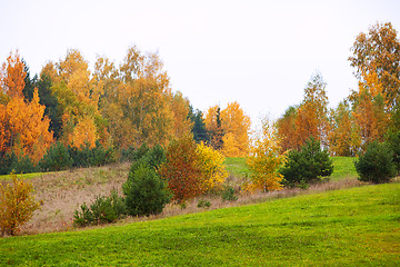 Image showing autumn landscape