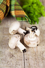 Image showing  fresh champignons