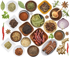 Image showing Spices And Herbs