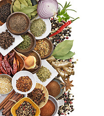 Image showing Spices And Herbs