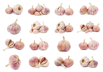 Image showing Garlic