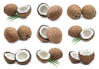 Image showing Coconuts