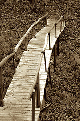 Image showing Wooden Foot Bridge