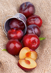 Image showing Plums