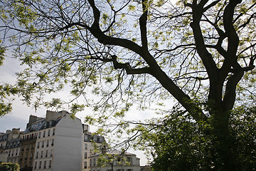 Image showing Springtime - Montmartre
