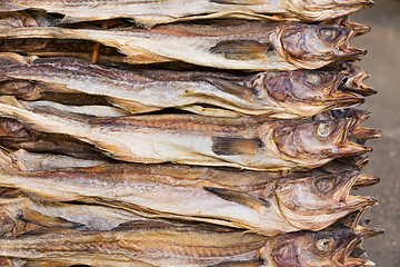 Image showing Dry salty fish