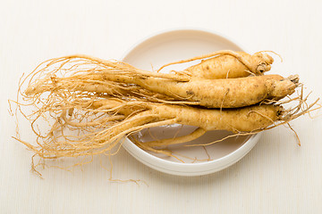 Image showing Korean cuisine ginseng