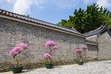 Image showing Traditional chinese architecture