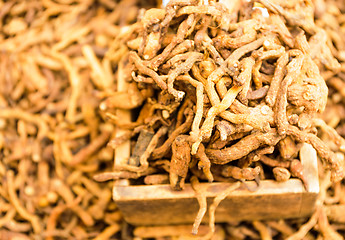 Image showing Dried Ginseng in Korean food market