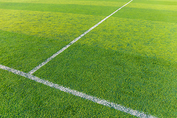 Image showing Green turf for football