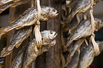 Image showing Dried salty fish hanging on the store