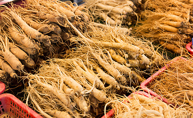 Image showing Fresh ginseng in food market