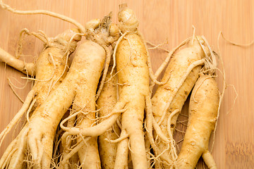 Image showing Ginseng