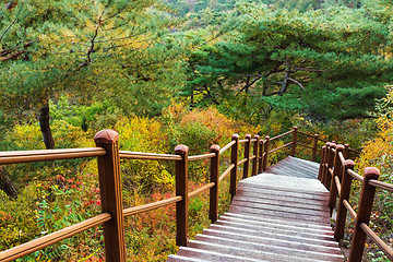 Image showing Wooden hiking path to the mountain