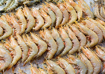 Image showing Fresh shrimp