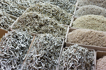 Image showing Dried assorted anchovy fish for sell in market