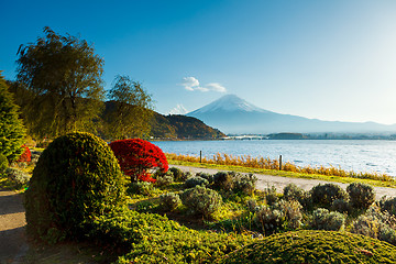 Image showing Mt. Fuji in autumn