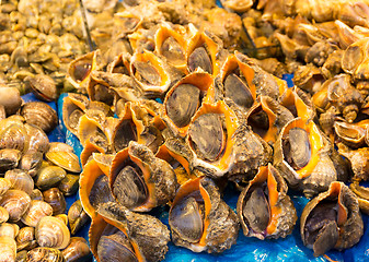 Image showing Seafood in food market