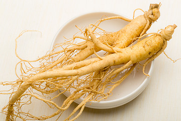 Image showing Ginseng