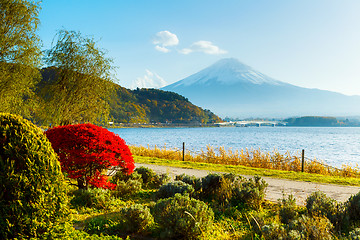 Image showing Mt. Fuji in autumn